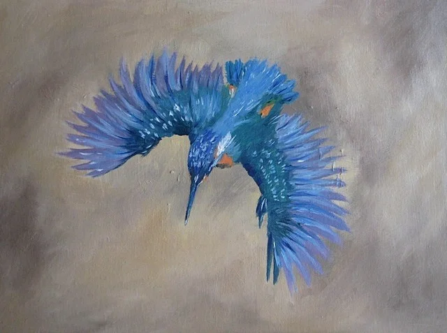 Kingfisher Kingfisher