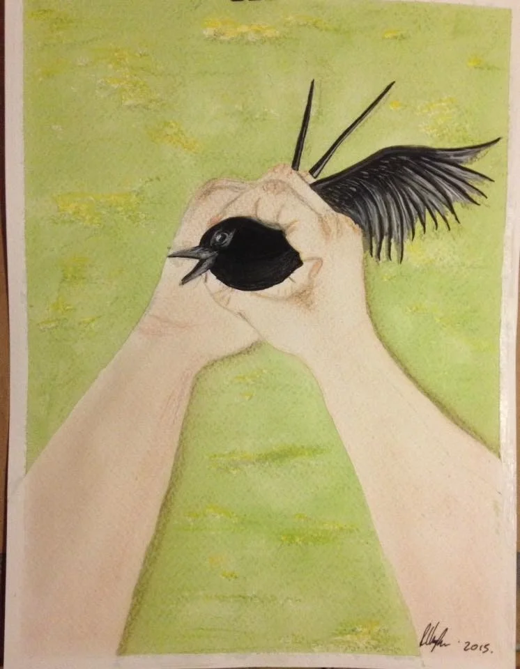 'Free Bird' 'Free Bird'