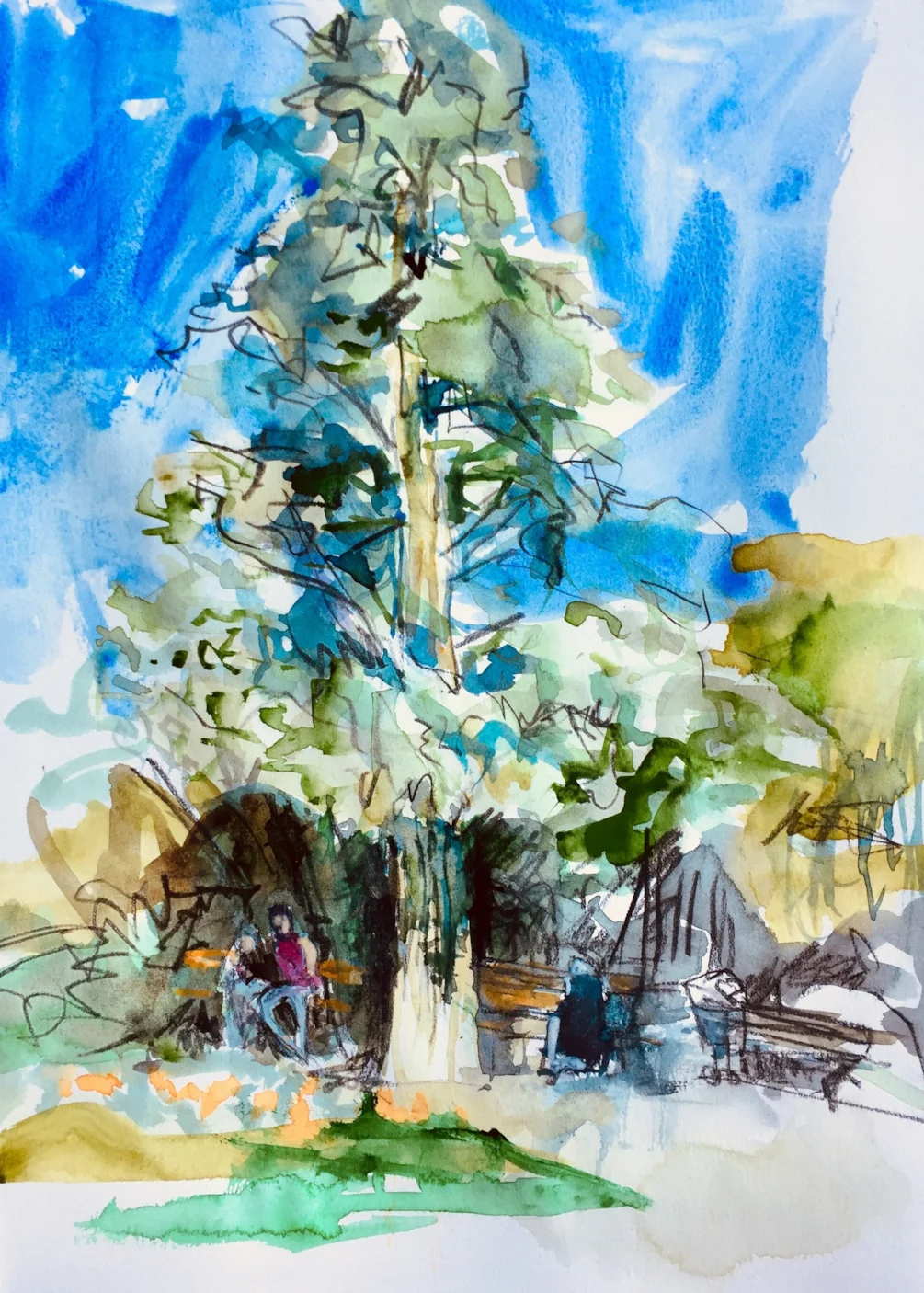 Sheltering under a cypress tree in the National gardens of Athens, Conte and watercolour sketch Sheltering under a cypress tree in the National gardens of Athens, Conte and watercolour sketch