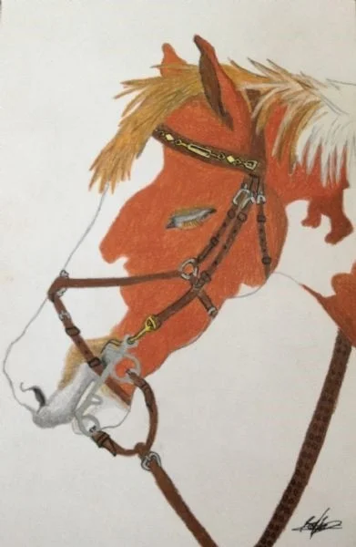 My Horse My Horse