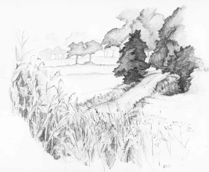 East Anglian meadows East Anglian meadows
