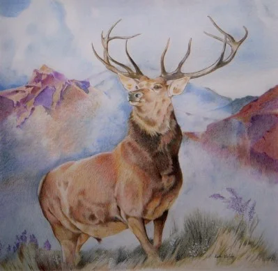 The Stag The Stag