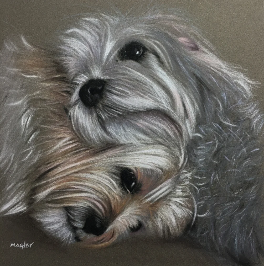 Dudley & Bronte Dudley & Bronte