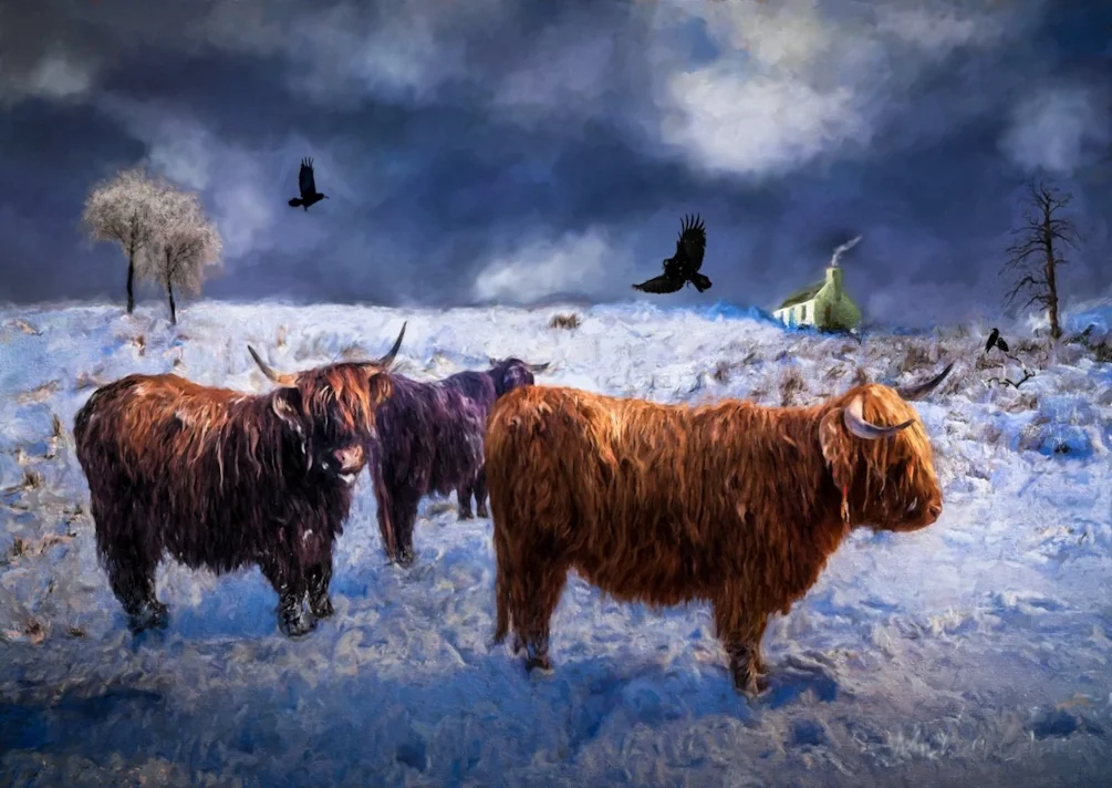 Highland Lassies Highland Lassies