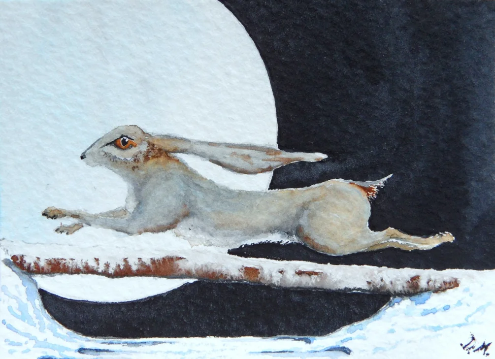 Moon Hare Moon Hare