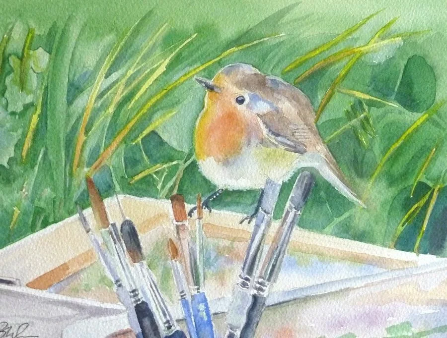 Robin Robin