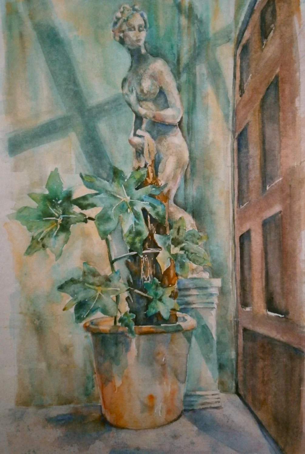 Large pot plant Large pot plant