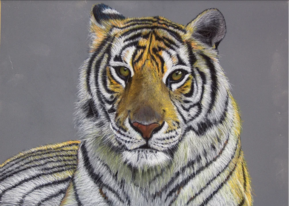 Tiger Tiger