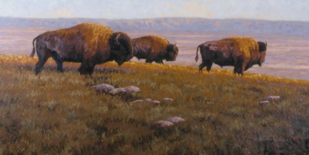 High Plains Bison High Plains Bison