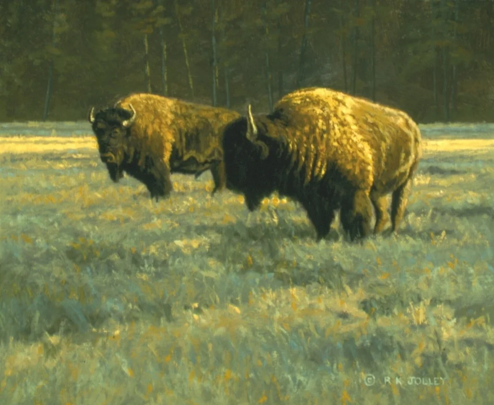 Bison Meadow Bison Meadow