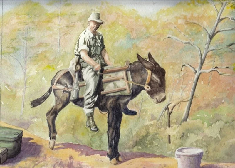 Sgt Lee - 1959 Sgt Lee - 1959