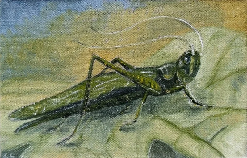 G is for Grasshopper G is for Grasshopper