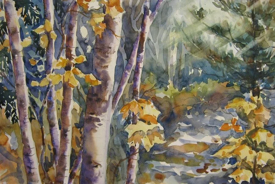 Birch and Maple 2 Birch and Maple 2