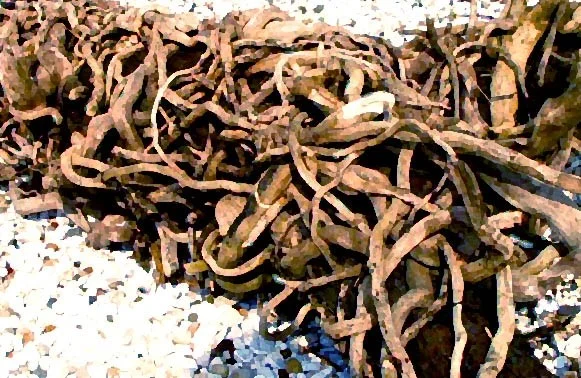 Twisted Twisted