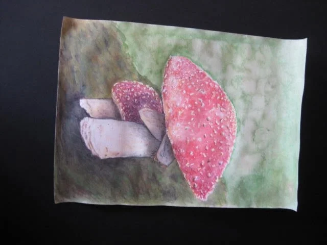 Mushrooms Mushrooms