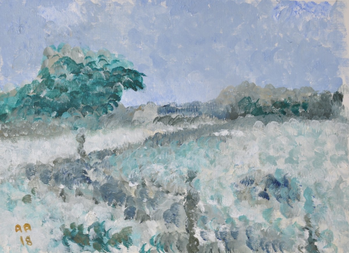 Towards Sandwich - Winter