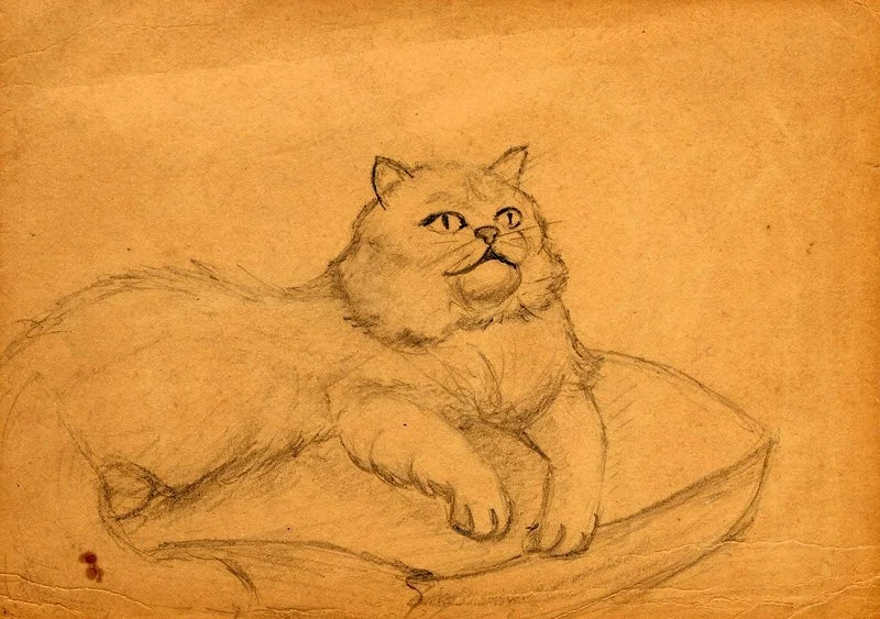Ancient cat drawing Ancient cat drawing