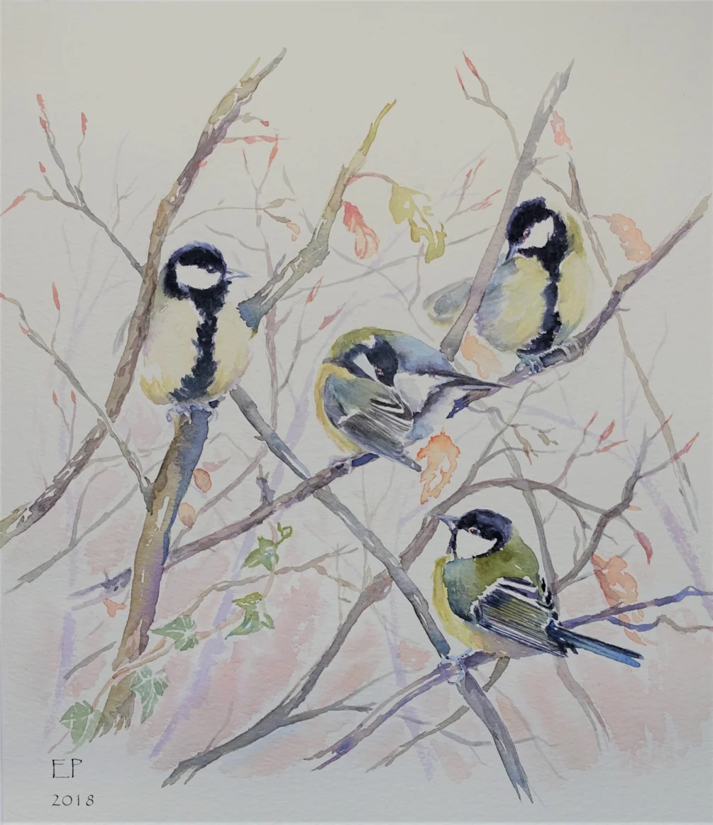 Great tits in the hedge - watercolour on rough paper, using Chinese brush, yellow ochre, cadmium yellow pale, permanent rose, french ultramarine and Winsor yellow Great tits in the hedge - watercolour on rough paper, using Chinese brush, yellow ochre, cadmium yellow pale, permanent rose, french ultramarine and Winsor yellow