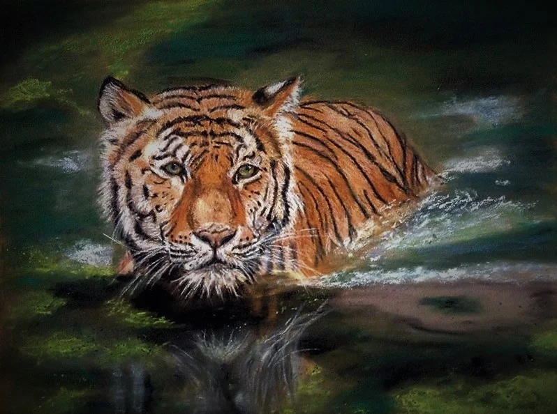 Tiger Tiger
