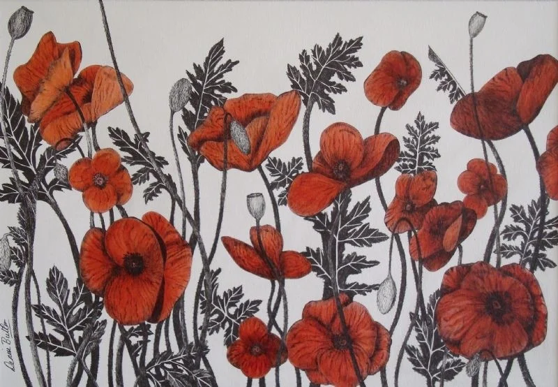 Poppies Poppies