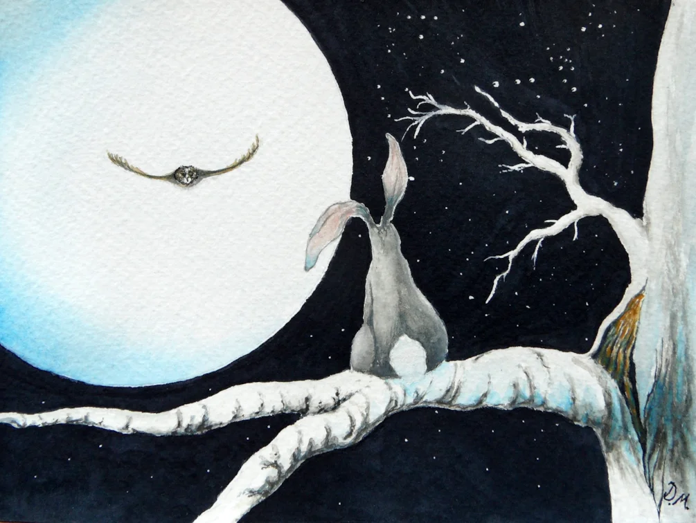 Hare And Owl In The Moonlight Hare And Owl In The Moonlight
