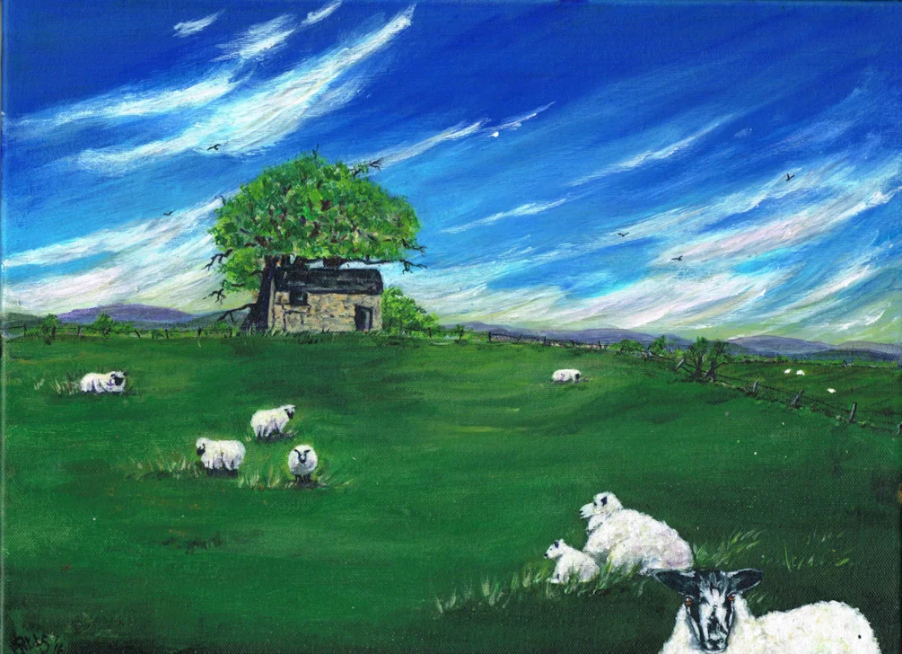 looking sheepish looking sheepish