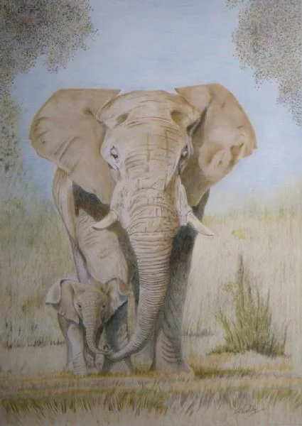 African Elephant and proud father African Elephant and proud father