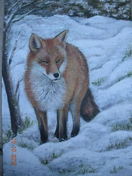 FOX FOX