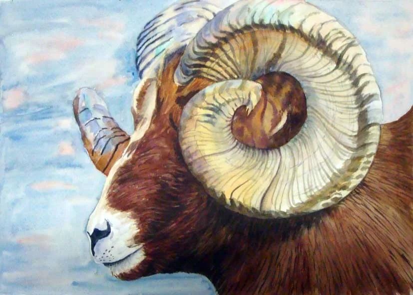 Ram Ram
