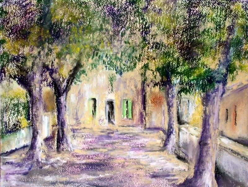 Ceret Plane Trees Ceret Plane Trees