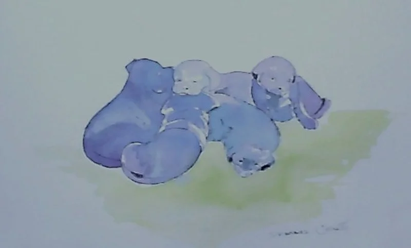 Hush puppies Hush puppies