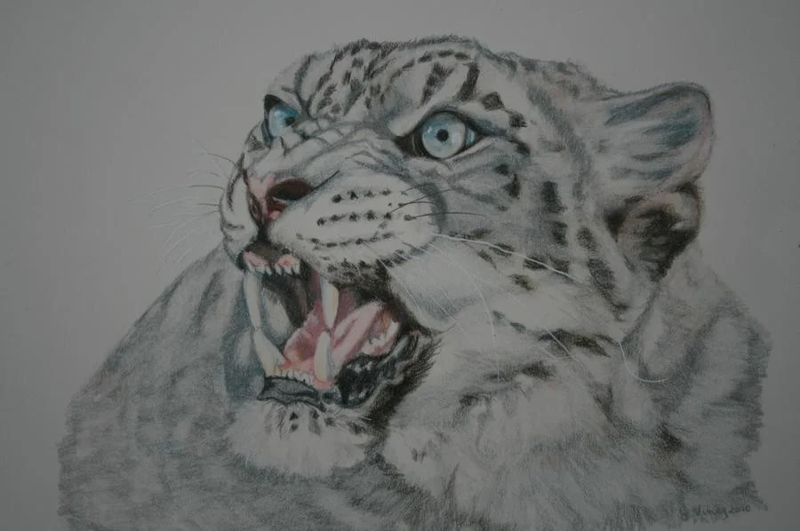 SNOW LEOPARD SNOW LEOPARD