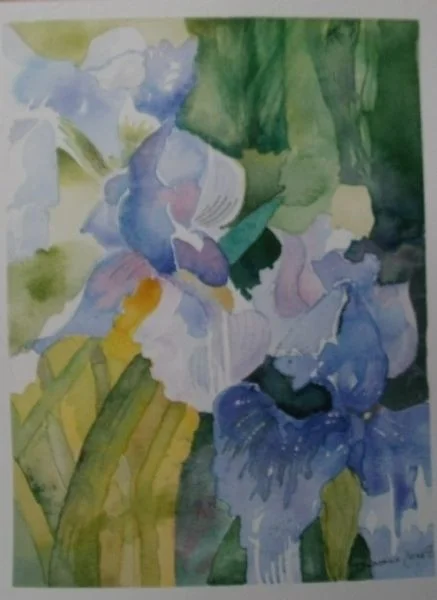 Shirley's Irises Shirley's Irises