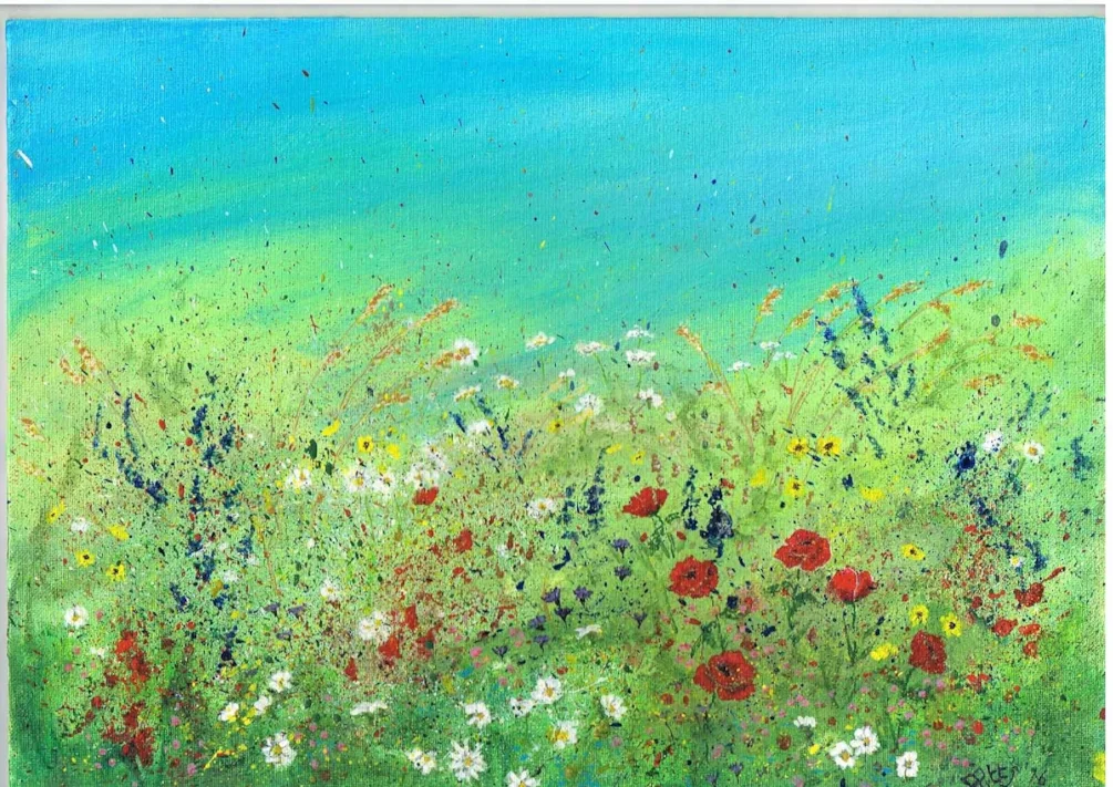 summer meadow summer meadow