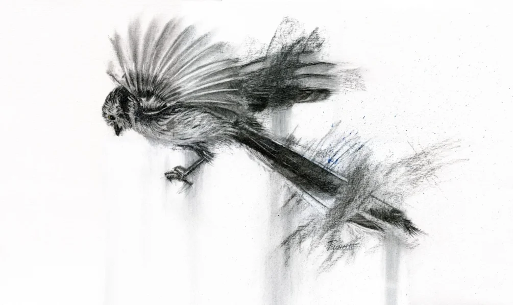 That Bird has my Wings That Bird has my Wings
