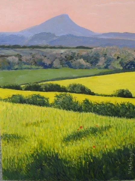 Roseberry Topping in Golden Fields Roseberry Topping in Golden Fields