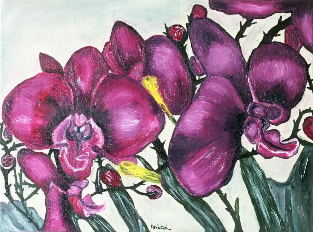 Orchidaceae Orchidaceae