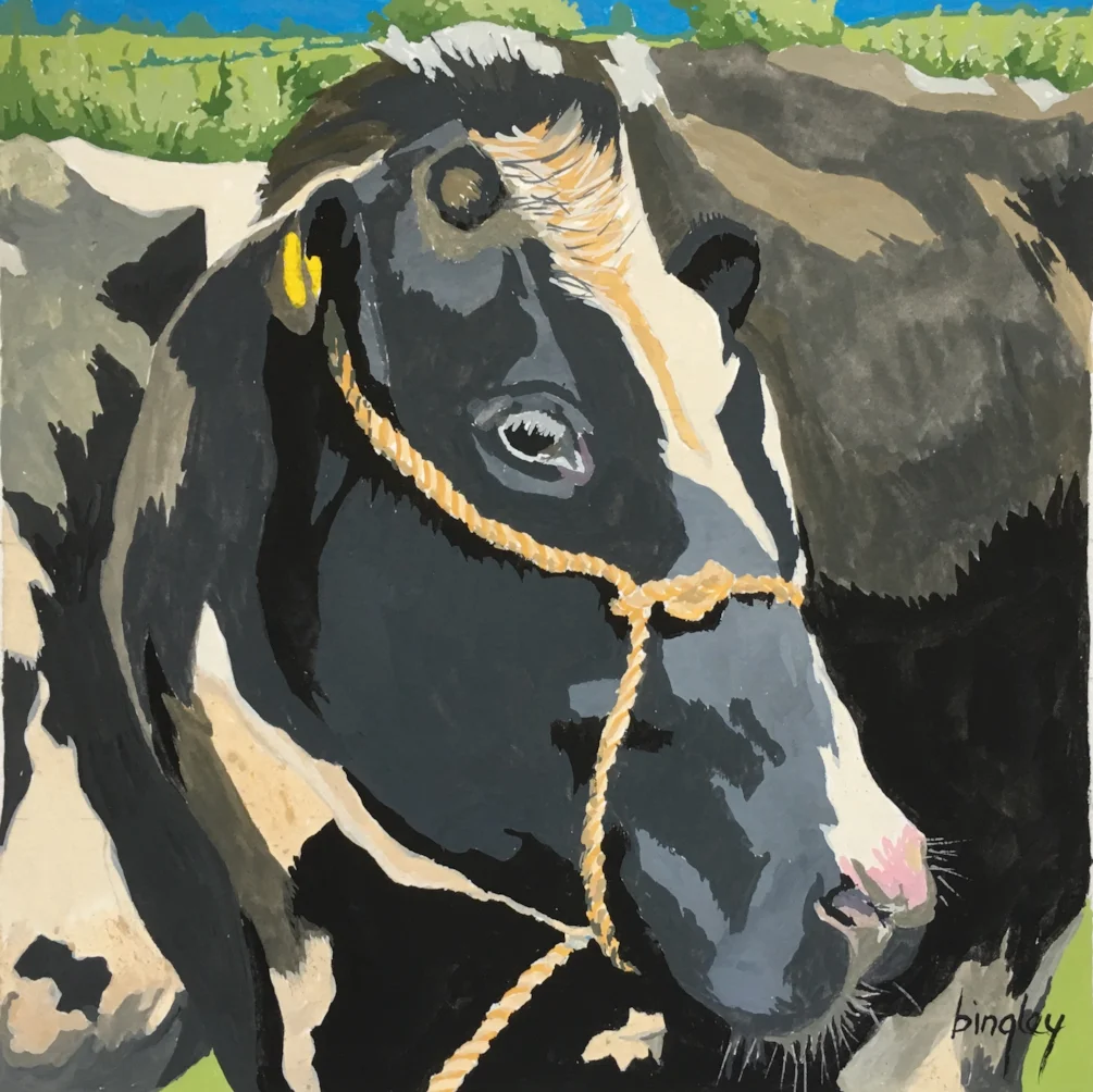 Cow Cow