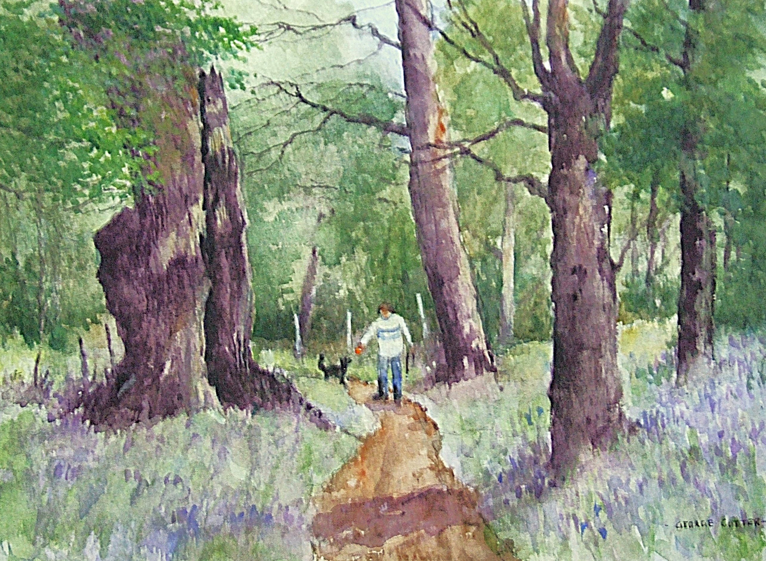 Ancient oak tree Ashton Court