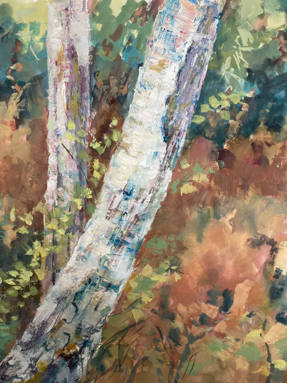 Autumn Silver Birch Autumn Silver Birch