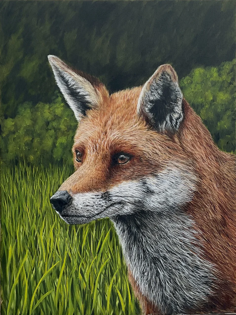 BFox BFox