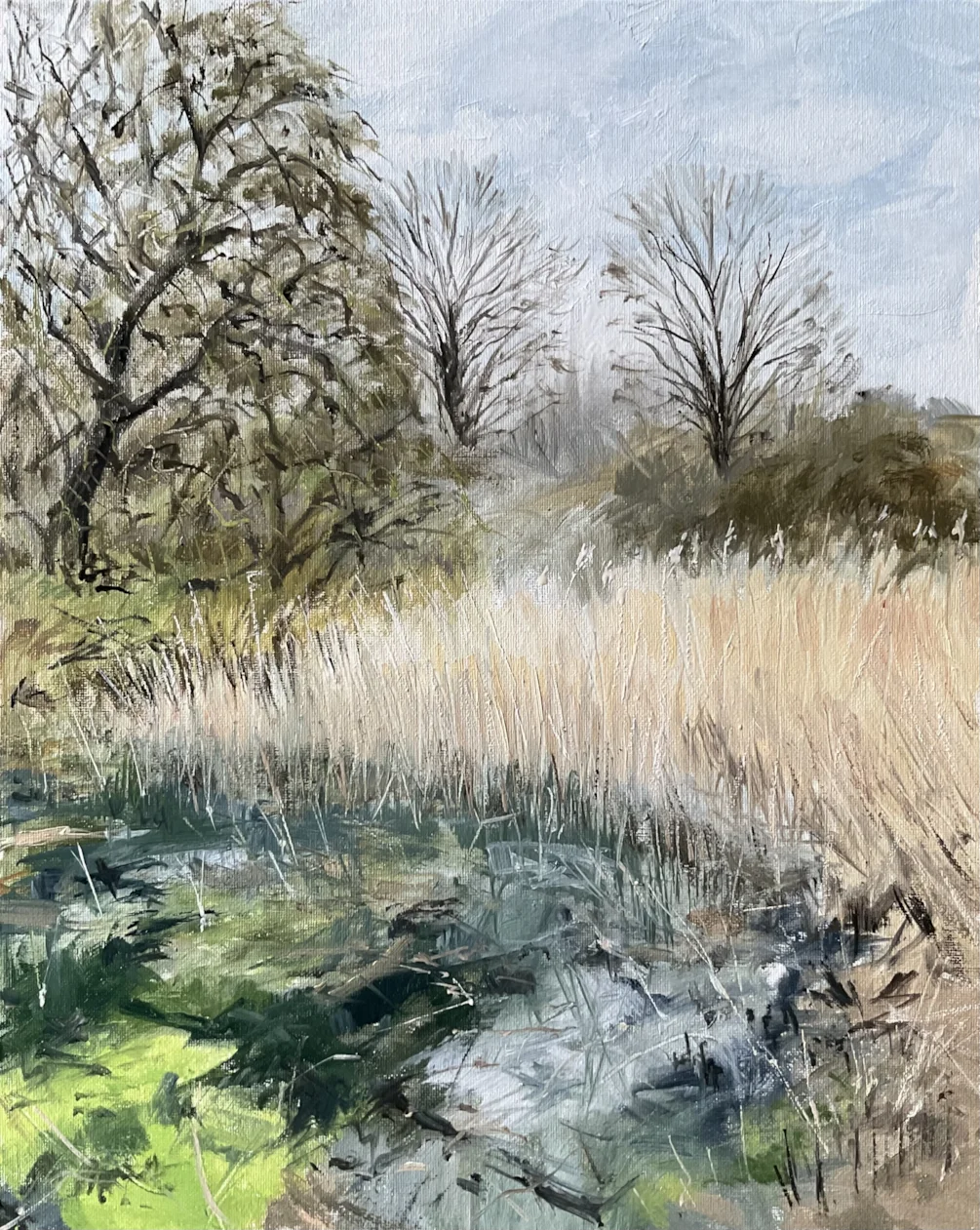 Backwater Backwater