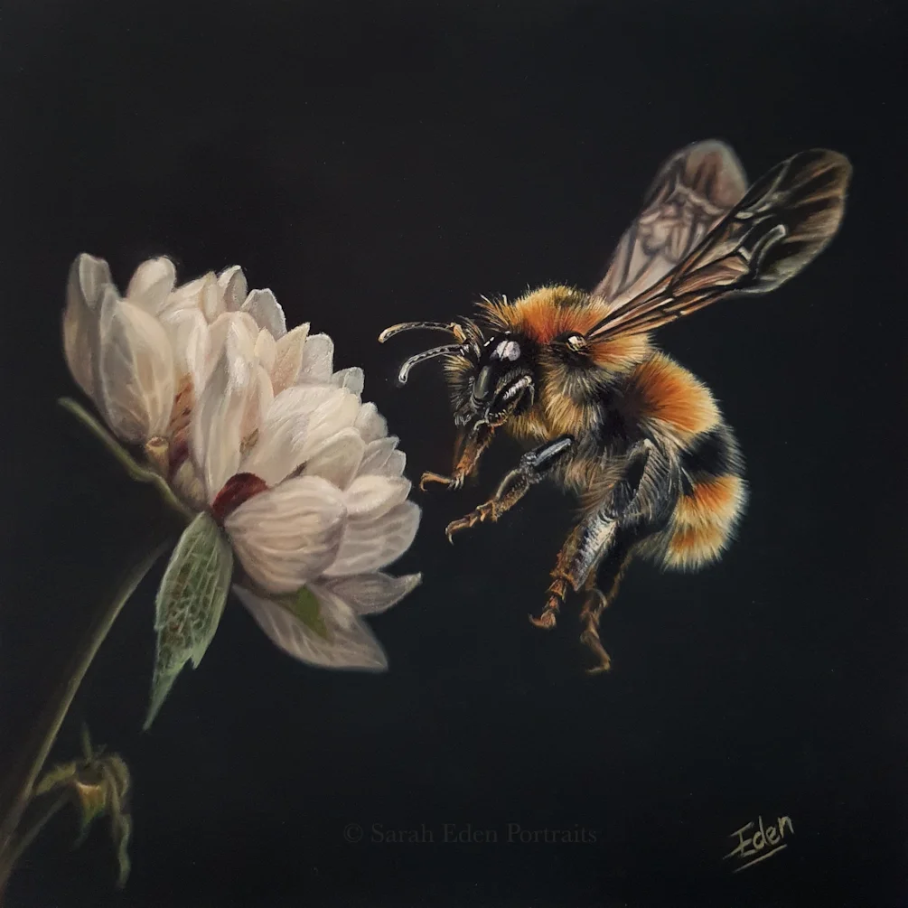 Bee and Flower WM Bee and Flower WM