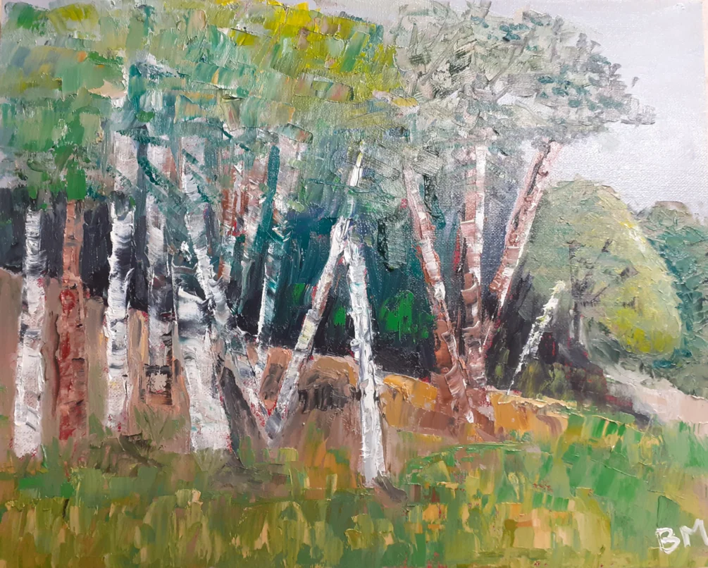Birch Copse, Marwood Hill Garden - Oil on canvas board - June 16th 2024 Birch Copse, Marwood Hill Garden - Oil on canvas board - June 16th 2024