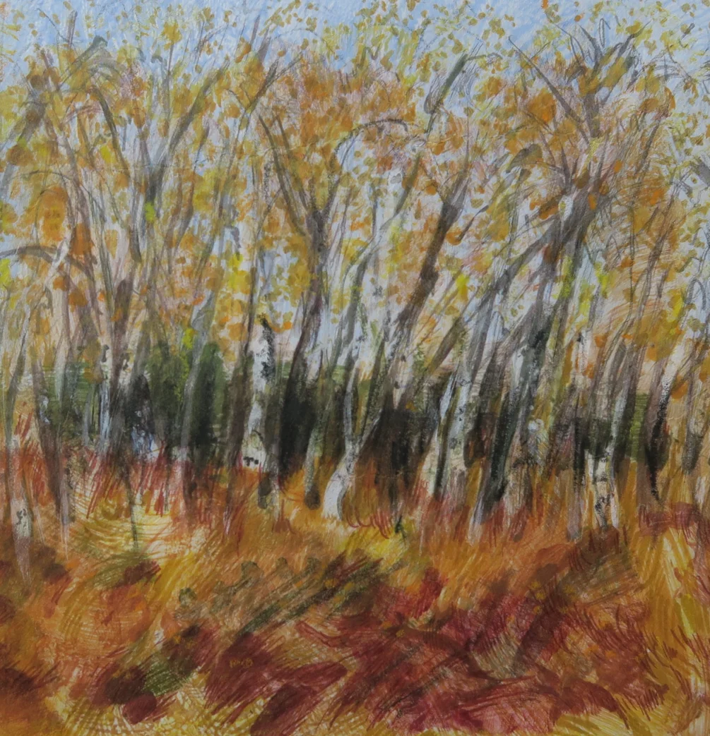Birch tree monotype Birch tree monotype