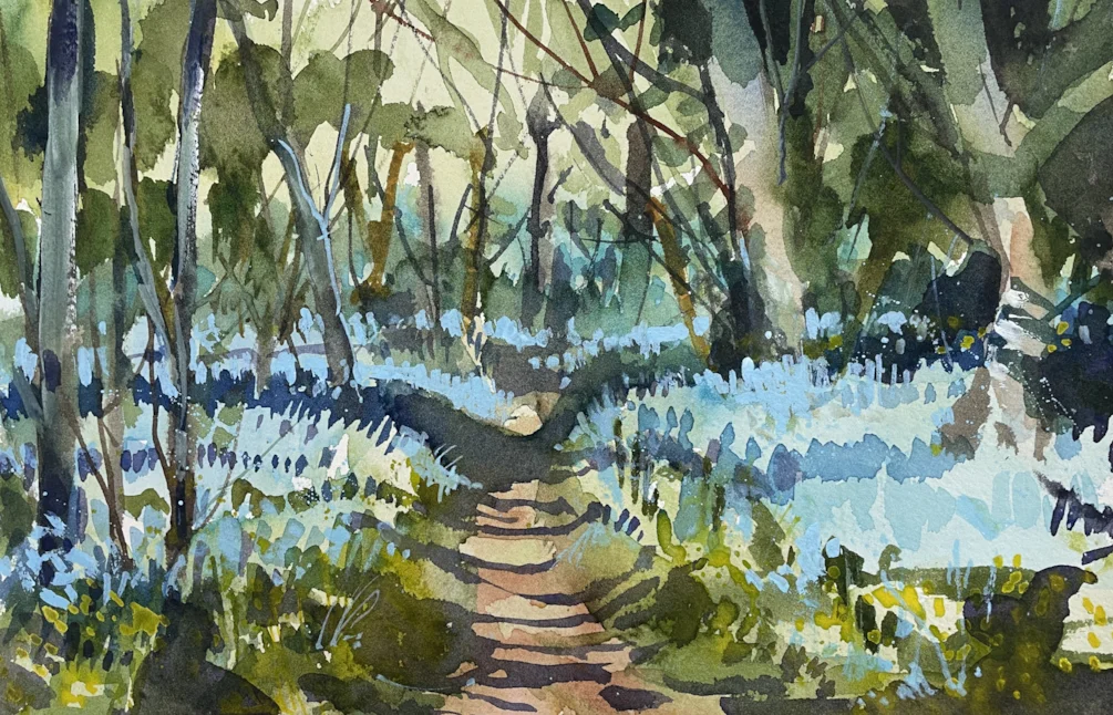 Bluebell Bluebell