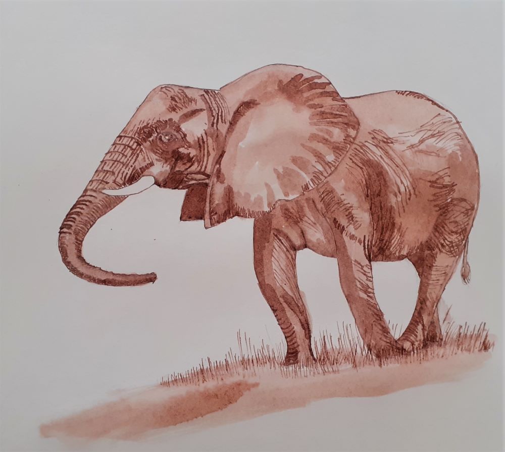 Brown Elephant