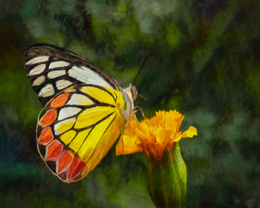 Butterfly Garden_02 Butterfly Garden_02