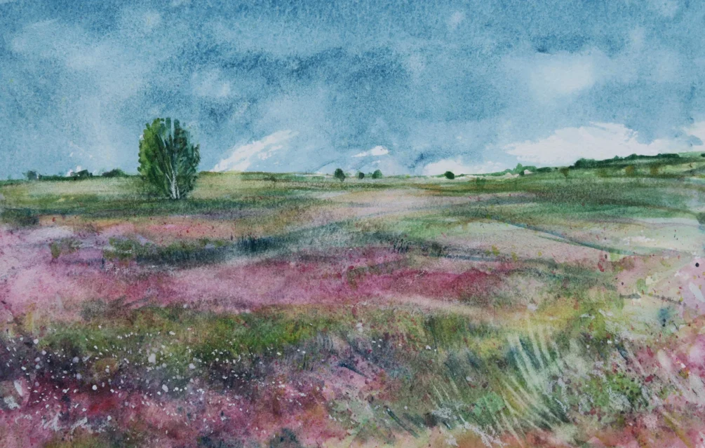 Cannock Chase Cannock Chase