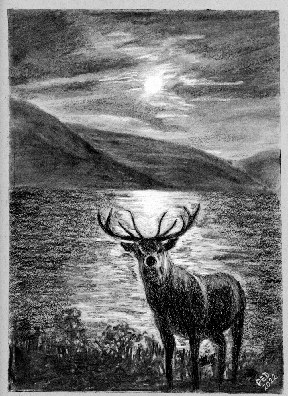 Charcoal Stag B&W Charcoal Stag B&W